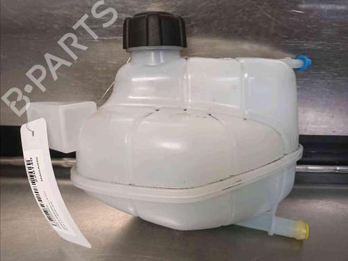 Used Expansion tank NISSAN QASHQAI II SUV (J11, J11_) 1.6 dCi (130 hp) 21139068