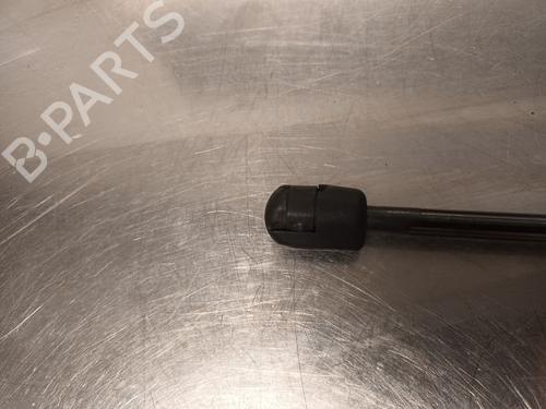 Hood lift support RENAULT SCÉNIC III (JZ0/1_) 1.6 16V (JZ0U, JZ1B) | BP20601665C139 