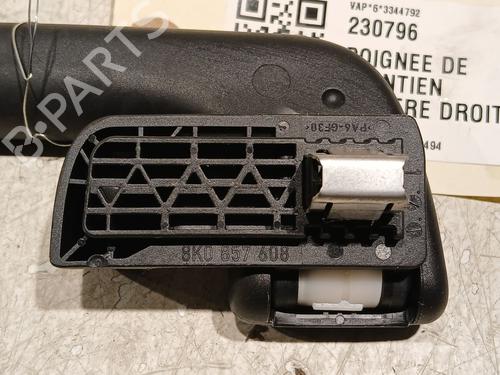 Interior roof handle AUDI Q5 (8RB) 2.0 TDI quattro | BP21782569I35 