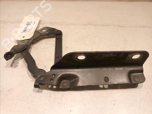 Hinge/Door check strap LAND ROVER RANGE ROVER EVOQUE (L538) 2.0 D | BP16537805C146 