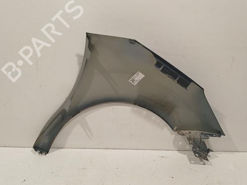 Left front fenders CITROËN C3 II (SC_) 1.4 HDi 70 (SC8HZC, SC8HR0, SC8HP4) | BP29697008C41 