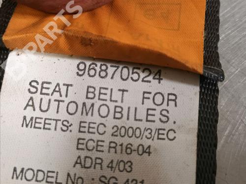 Rear left belt tensioner CHEVROLET AVEO / KALOS Hatchback (T250, T255) 1.2 LPG | BP9513579C89 