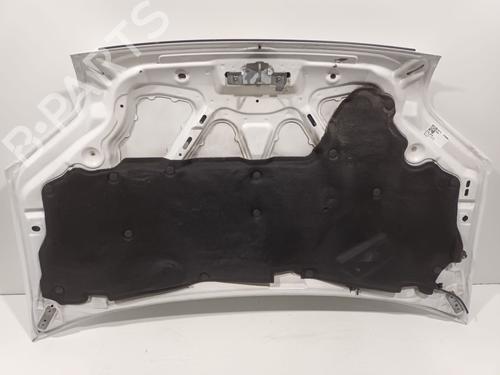 Hood FORD TRANSIT CONNECT (P65_, P70_, P80_) 1.8 TDCi | BP27923791C1