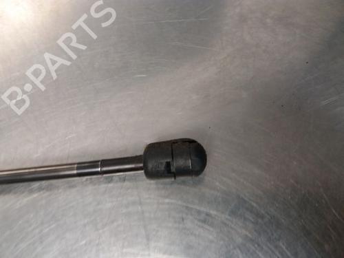Tailgate lift support RENAULT WIND (E4M_) 1.2 (E4MF) | BP14868542C138 