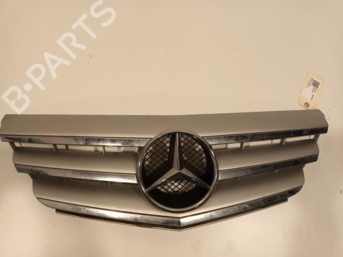 Used Grille MERCEDES-BENZ B-CLASS Sports Tourer (W245) B 200 CDI (245.208) (140 hp) 22718932