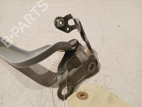 Hinge/Door check strap PEUGEOT 107 (PM_, PN_) 1.0 | BP17909930C146 