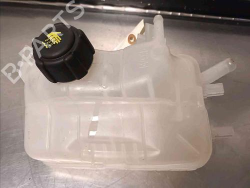 Used Expansion tank RENAULT GRAND SCÉNIC III (JZ0/1_) 1.5 dCi (JZ09, JZ0D, JZ10, JZ14, JZ1G, JZ29, JZ2C) (110 hp) 21139112