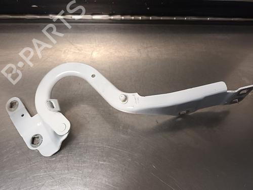 Used Hinge/Door check strap RENAULT ESPACE V (JR_) [2015-2023]  21587349