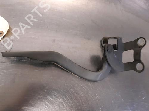 Hinge/Door check strap PEUGEOT 107 (PM_, PN_) 1.4 HDi | BP14866068C146 