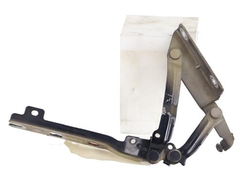 hingedoor-check-strap-vw-golf-v-1k1-2003-2004-2005-2006-2007-2008-2009-2010-36035219 main image