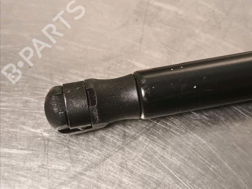 Tailgate lift support LAND ROVER RANGE ROVER SPORT I (L320) 3.6 D 4x4 | BP14868462C138 