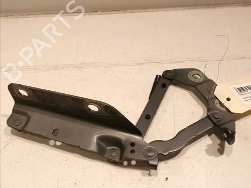 Used Hinge/Door check strap LAND ROVER RANGE ROVER EVOQUE (L538) 2.0 D (150 hp) 16537803