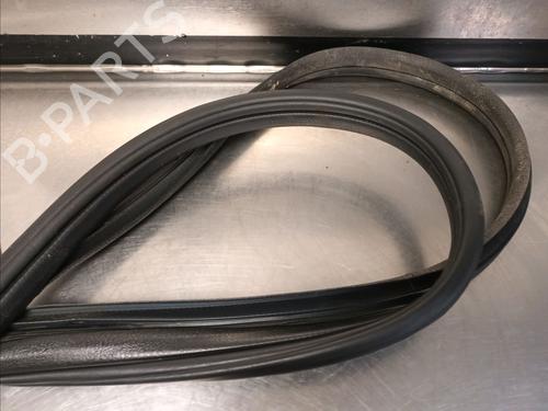 Rubber door seal RENAULT CLIO III (BR0/1, CR0/1) 1.5 dCi | BP14866647C142 