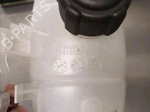 Expansion tank RENAULT TRAFIC III Van (FG_)  | BP21139040C120