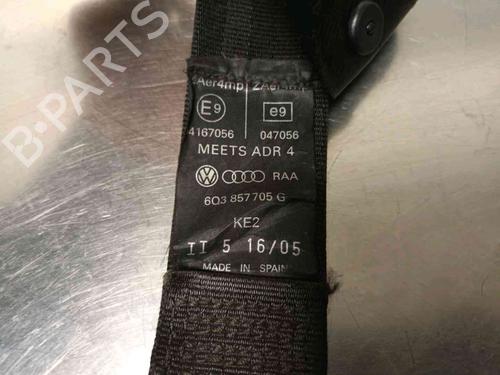 Front left belt tensioner VW POLO (9N_, 9A_) 1.2 12V | BP20603874C87 