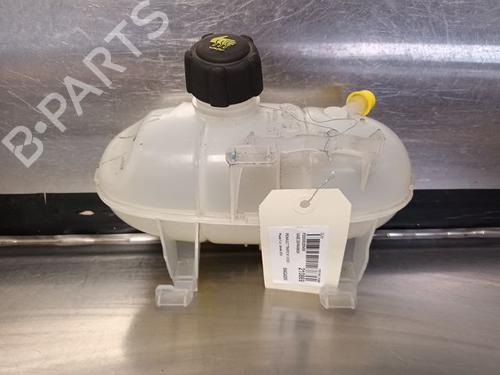 Expansion tank RENAULT TRAFIC III Van (FG_) 1.6 dCi 120 (FGMB, FGMC) | BP20601594C120 