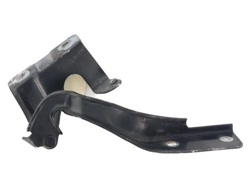 Used Hinge/Door check strap RENAULT KOLEOS I (HY_) 2.0 dCi (HY0K) (150 hp) 27375401