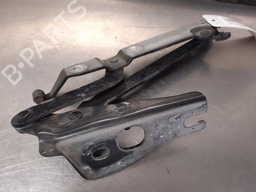 Hinge/Door check strap AUDI A4 B7 Convertible (8HE) 3.0 TDI quattro | BP14868482C146 