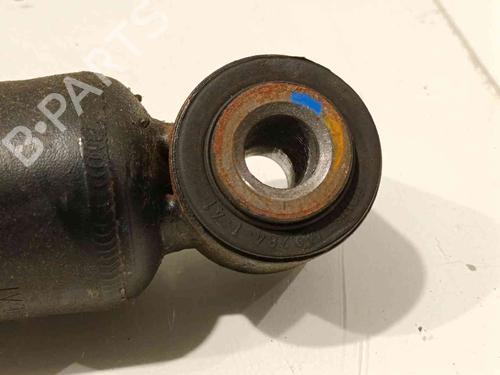 Left rear shock absorber RENAULT MASTER III Van (FV)  | BP20605065M18 