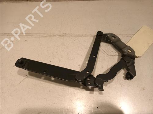 Hinge/Door check strap LAND ROVER RANGE ROVER EVOQUE (L538) 2.0 D | BP16537805C146 