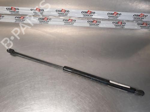 Used Tailgate lift support FORD FIESTA VI (CB1, CCN) 1.4 TDCi (68 hp) 14868298