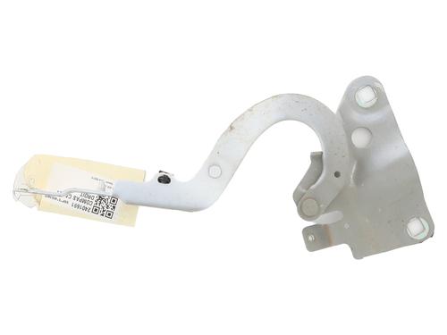 Used Hinge/Door check strap RENAULT ZOE (BFM_) ZOE (92 hp) 21261351