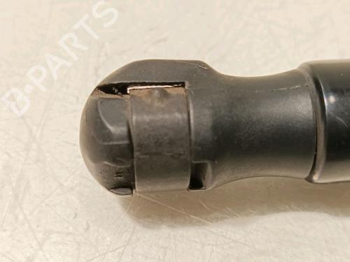 Hood lift support LAND ROVER RANGE ROVER EVOQUE (L538) 2.0 D | BP16555234C139 