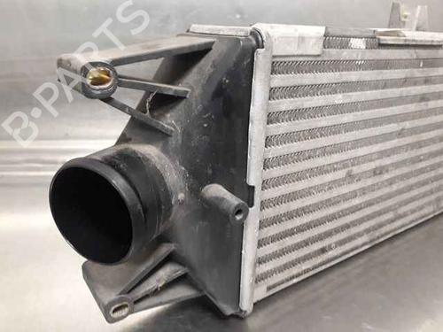 Intercooler IVECO DAILY III Van 35 C 12 V, 35 S 12 V (AGKA43A2, AGKB43A2, AGKB46A2,... | BP29382505M30 