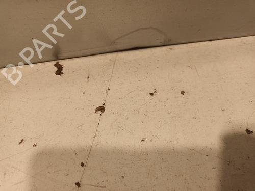 Right front door MERCEDES-BENZ M-CLASS (W164) ML 320 CDI 4-matic (164.122) | BP30120578C3