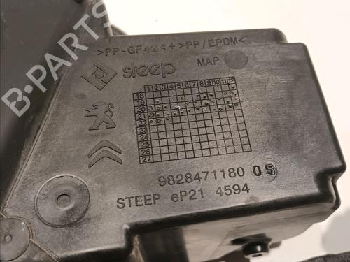 Fuel flap PEUGEOT 208 II (UB_, UP_, UW_, UJ_) e-208 | BP17551753C131 
