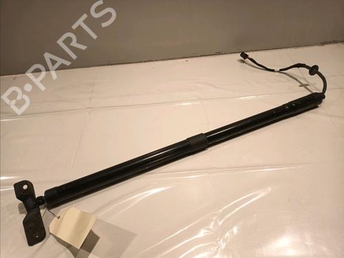 Tailgate lift support FORD C-MAX II (DXA/CB7, DXA/CEU) 2.0 TDCi 2229987