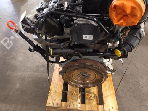 Engine SEAT IBIZA IV ST (6J8, 6P8) 1.2 TDI | BP29820511M1