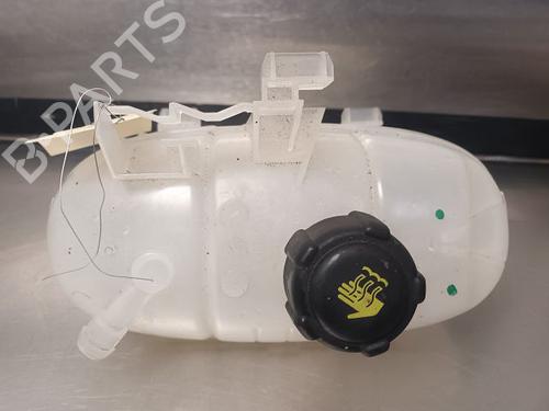 Used Expansion tank RENAULT TRAFIC III Van (FG_) 1.6 dCi 120 (FGMB, FGMC) (120 hp) 21781654
