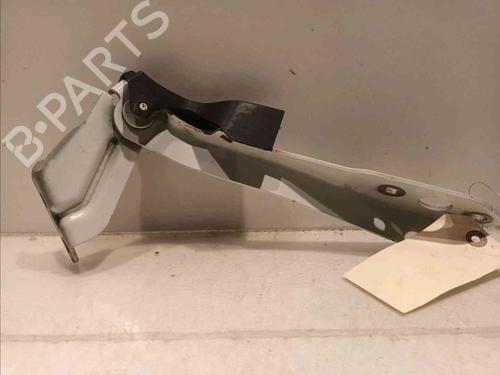 Dørhengsel/Dørstopper RENAULT MASTER III Van (FV) 2.3 dCi 100 FWD (FV0A, FV0B, FV0G, FV0K, FV0H) | BP17085547C146 