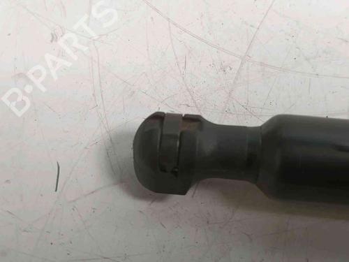 Tailgate lift support RENAULT ZOE (BFM_) ZOE | BP20604352C138