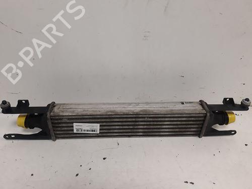 Used Intercooler OPEL CORSA D (S07) 1.3 CDTI (L08, L68) (95 hp) 14858619