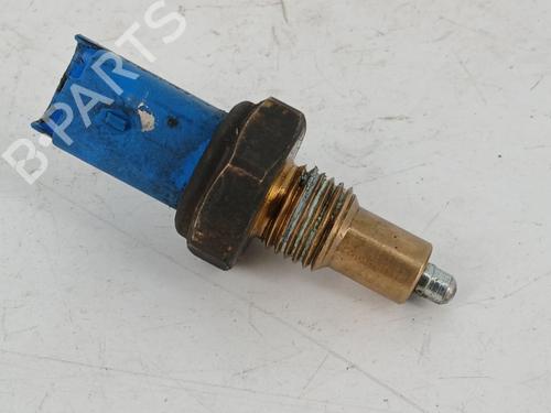 Used Electronic module RENAULT TWINGO II (CN0_) 1.2 16V (CN0K, CN0V, CN0A) (76 hp) 14859630