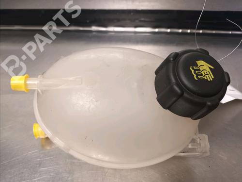 Used Expansion tank RENAULT CLIO IV (BH_) 1.5 dCi 90 (90 hp) 10051928