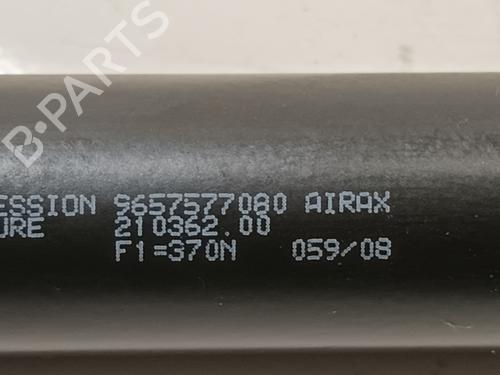 Tailgate lift support CITROËN XSARA PICASSO (N68) 1.6 HDi | BP21802131C138 