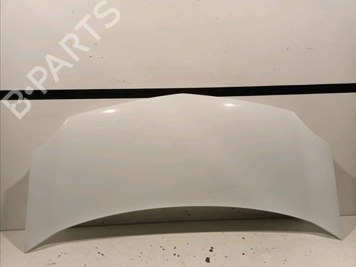 Used Hood RENAULT KANGOO Express (FW0/1_) 1.5 dCi 90 (FW0G, FW05, FW08, FW11) (90 hp) 18103981