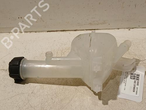 Expansion tank RENAULT ARKANA I (LCM_, LDN_) 1.6 E-TECH 145 (LDMU) | BP20608752C120 