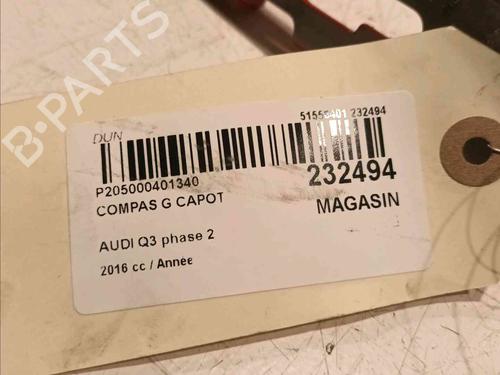 Hinge/Door check strap AUDI Q3 (8UB, 8UG)  | BP20606170C146 