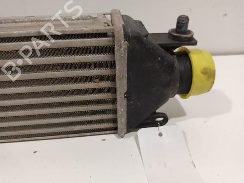 Intercooler FIAT DOBLO Cargo (263_) 1.6 D Multijet (263WXN1B, 263ZXN1B, 263ZXV1B, 263WXV1B,... | BP38106082M30 - Image 3