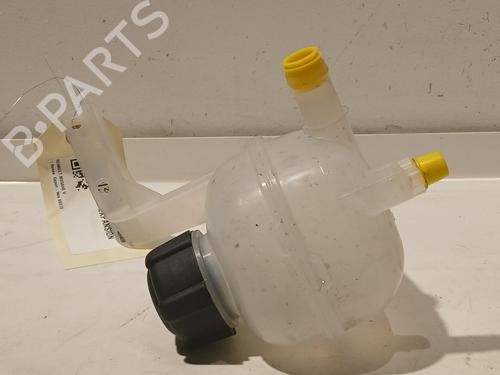 Expansion tank RENAULT SCENIC E-TECH PHASE I EV87 | BP21084370C120 