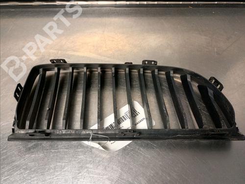Grille BMW 3 (E90) 320 d | BP11098475C40 