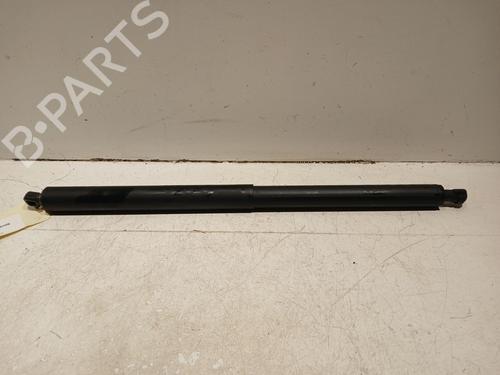 Used Tailgate lift support BMW X1 (F48) sDrive 16 d (116 hp) 21605465