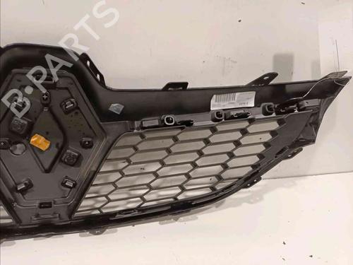 Grille RENAULT SCÉNIC III (JZ0/1_) 1.6 dCi (JZ00, JZ12) | BP20604862C40 