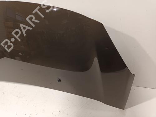 Hood CITROËN C3 II (SC_) 1.4 HDi 70 (SC8HZC, SC8HR0, SC8HP4) | BP29327953C1 