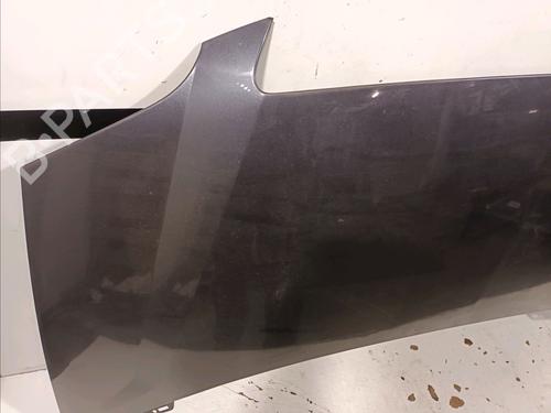 Hood LANCIA PHEDRA (179_) 2.2 JTD (179AXC1A) | BP15099882C1 
