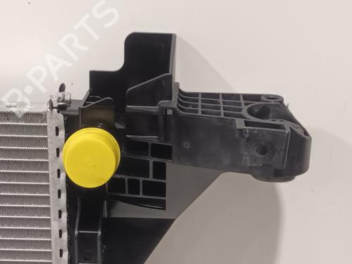 Water radiator RENAULT MASTER III Van (FV) | BP32008030M31